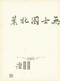 叶北国士无双