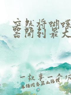 突然将蝴蝶遥控器开到最大