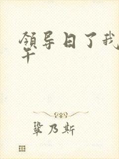 领导日了我一下午