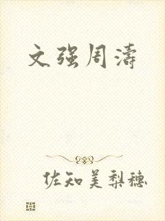 文强周涛