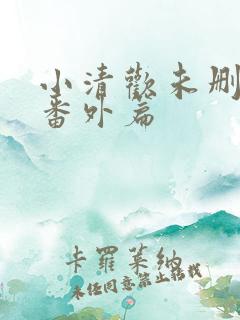 小清欢未删减版番外篇