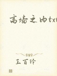 高墙之内txt
