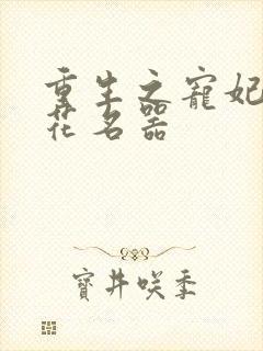 重生之宠妃白莲花名器