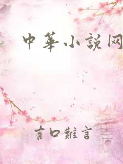 中华小说网
