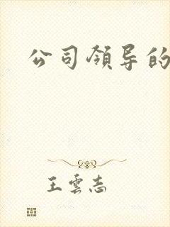 公司领导的老婆