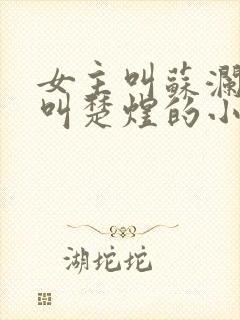 女主叫苏澜男主叫楚煜的小说