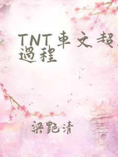 TNT车文超细过程