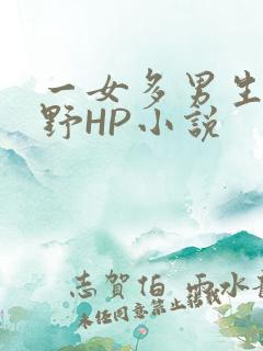 一女多男生活狂野HP小说