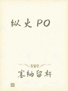 纵火 PO
