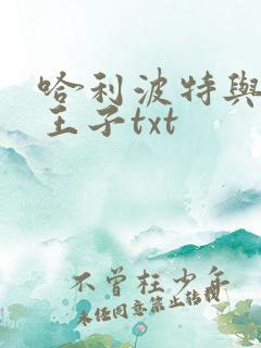 哈利波特与混血王子txt