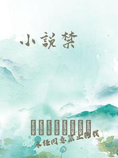 小说禁