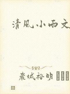 清风小雨文学网