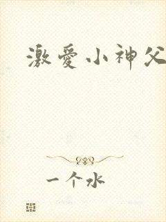 激爱小神父