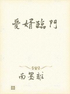 爱婿临门