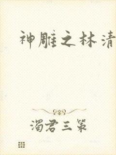 神雕之林清传