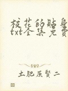 校花的贴身保镖txt全集免费下载