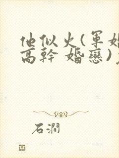 他似火(军婚 高干 婚恋)免费阅读