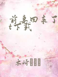 前妻回来了txt下载