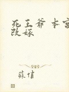 死王爷 本宫已改嫁