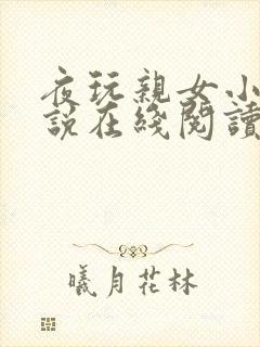 夜玩亲女小妍小说在线阅读