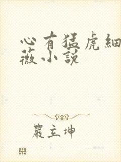 心有猛虎细嗅蔷薇小说