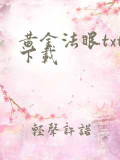 黄金法眼txt下载