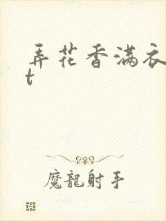 弄花香满衣txt