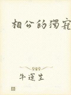 相公的独宠妻子