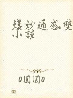 爆炒通感双胞胎小说