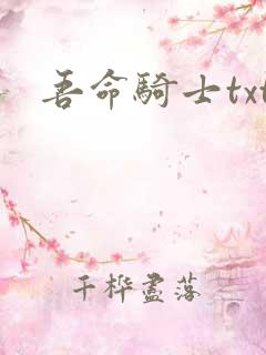 吾命骑士txt