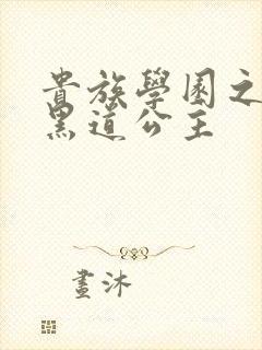 贵族学园之我的黑道公主