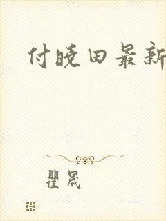 付晓田最新消息