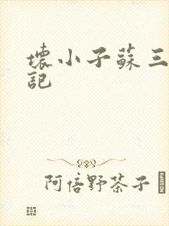 坏小子苏三风流记