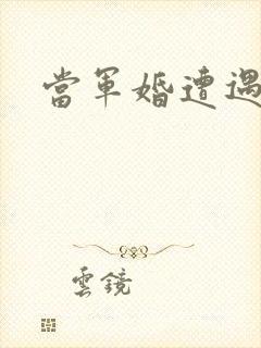 当军婚遭遇爱情