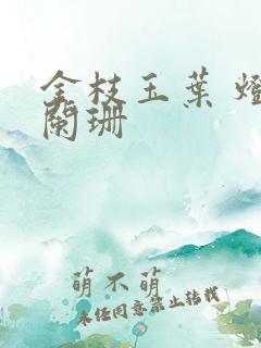 金枝玉叶 灯火阑珊