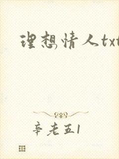 理想情人txt