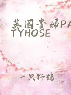 英国贵妇PANTYHOSE