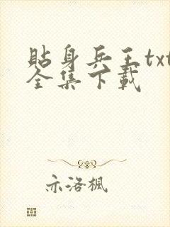 贴身兵王txt全集下载