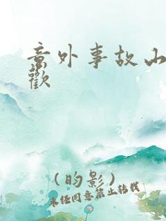 意外事故山月辞欢