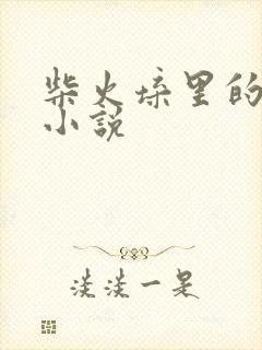 柴火垛里的疯狂小说