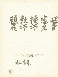 顾教授您醒了吗严沐沐免费阅读