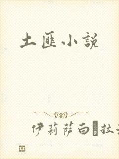 土匪小说