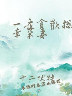 一夜贪欢总裁的幸孕妻