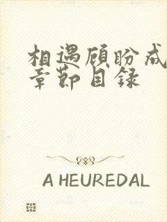 相遇顾盼成欢全章节目录