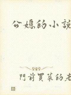 公媳的小说