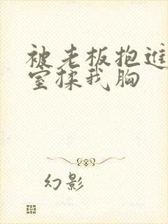 被老板抱进办公室揉我胸