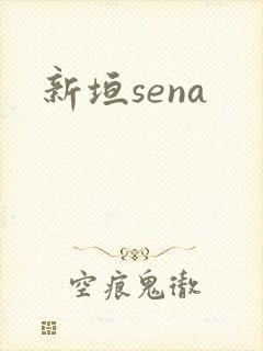 新垣sena