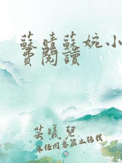 苏晴苏婉小说免费阅读