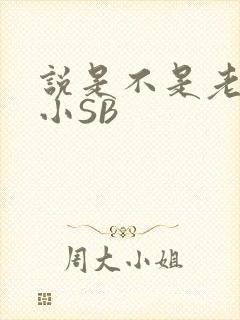 说是不是老公的小SB