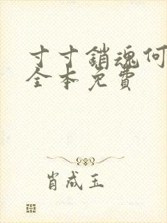 寸寸销魂何生祥全本免费